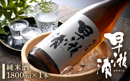 早瀬浦 純米酒 1800ml × 1本 [入手困難 日本酒 就職祝い 転職祝い ハレの日 ギフト プレゼント お祝い お返し お礼 お中元 お歳暮 父の日 敬老の日 ][m06-a014]