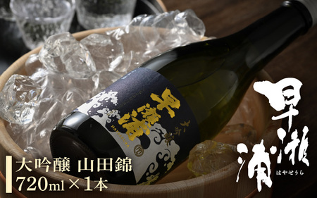 早瀬浦 大吟醸 山田錦 720ml × 1本 [入手困難 日本酒 就職祝い 転職祝い ハレの日 ギフト プレゼント お祝い お返し お礼 お中元 お歳暮 父の日 敬老の日 ][m06-b008]