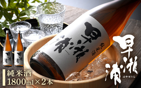 早瀬浦 純米酒 1800ml × 2本 【入手困難 日本酒 就職祝い 転職祝い ハレの日 ギフト プレゼント お祝い お返し お礼 お中元 お歳暮 父の日 敬老の日 】[m06-b006]