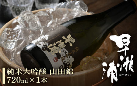 早瀬浦 純米大吟醸 山田錦 720ml × 1本 [入手困難 日本酒 就職祝い 転職祝い ハレの日 ギフト プレゼント お祝い お返し お礼 お中元 お歳暮 父の日 敬老の日 ][m06-c004]