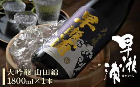 早瀬浦 大吟醸 山田錦 1800ml × 1本 [入手困難 日本酒 就職祝い 転職祝い ハレの日 ギフト プレゼント お祝い お返し お礼 お中元 お歳暮 父の日 敬老の日 ][m06-d003]