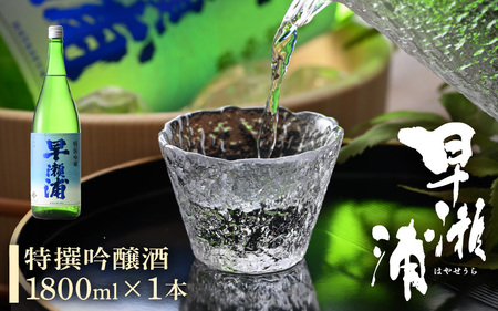 早瀬浦 特撰吟醸酒 1800ml × 1本 [入手困難 日本酒 就職祝い ハレの日 ギフト プレゼント お祝い お中元 お歳暮 父の日 敬老の日 ][m06-a016]