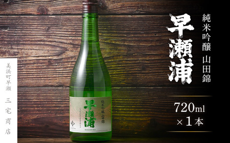 入手困難[早瀬浦]純米吟醸 山田錦 720ml × 1本[日本酒 地酒 福井 美浜 早瀬 フルーティ 男酒 硬水 ミネラル 希少 ご褒美 家飲み][m16-a004]