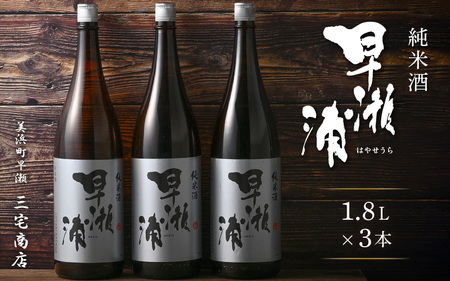 入手困難【早瀬浦】純米酒 1800ml × 3本【日本酒 地酒 福井 美浜 早瀬 フルーティ 男酒 硬水 ミネラル 希少 ご褒美 家飲み 敬老の日 プレゼント】[m16-d009]
