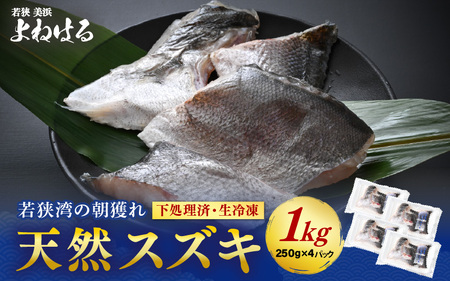 若狭湾の朝獲れ 天然 スズキ 約1kg (約250g×4パック) 下処理済!生冷凍!だから人気!【 魚介類 切り身 白身 】[m17-a071]