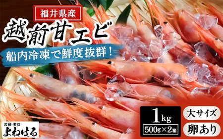 大好評!天然 越前甘エビ(卵あり)大サイズ 計約1kg(約500g × 2箱)(合計60尾入り) 解凍方法説明書付き 船内凍結 酸化防止剤不使用! 甘エビ本来の味をお楽しみください [えび エビ 海老 甘えび 子持ち 海鮮 お刺身 おせち 無添加 福井県産 国産][m17-c014]