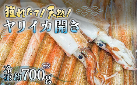 ys\zlꂽāIVRICJ J 700g y2026N3{ȍ~\zCJ  PTLCJ CJ CN hg ς Ⓚ 銱[m21-a008]