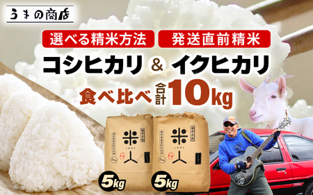 令和6年産 コシヒカリ & イクヒカリ 食べくらべ[白米]計10kg (5kg × 2袋)セット[m25-b002]