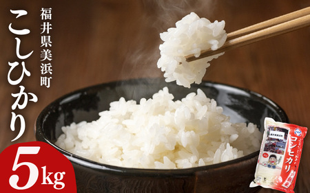 [先行予約][令和7年産]米 コシヒカリ 5kg × 1袋 精米 福井県美浜町産[2026年1月下旬発送予定] [m60-a017_01]