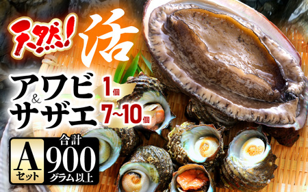 【先行予約】【期間限定】天然！活アワビ ＆ 活サザエ セットA【2025年6月中旬以降順次発送予定】【入手困難 産地直送 刺身 お造り おせち バター焼き BBQ あわび 鮑 サザエ さざえ 貝 砂抜き済 海鮮 魚介 酒の肴 つまみ 贅沢 ご褒美 冷凍 福井】[m21-b007_01]