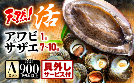 【先行予約】【期間限定】天然！活アワビ ＆ 活サザエ セットA(貝はずしサービス付き)【2025年6月中旬以降順次発送予定】【入手困難 産地直送 刺身 お造り おせち バター焼き BBQ あわび 鮑 サザエ さざえ 貝 砂抜き済 海鮮 魚介 酒の肴 つまみ 贅沢 ご褒美 冷凍 福井】[m21-b007_02]