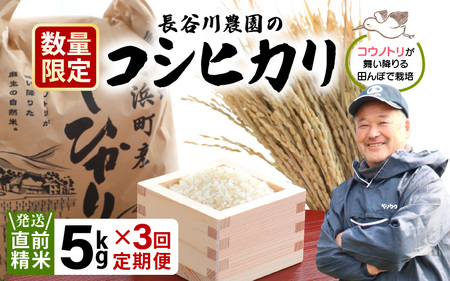 定期便 ≪3ヶ月連続お届け≫[令和6年産・新米]⾧谷川農園の コシヒカリ 白米 5kg × 3回 (計15kg) [お米 こしひかり 5キロ 精米 ブランド米 ふるさと納税米 産地直送] [m22-b002]