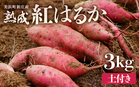 [先行予約]大谷原の熟成さつまいも(3kg 土付き) 約15本[入手困難・数量限定][2024年10月下旬以降順次発送予定] [サツマイモ 芋 イモ 紅はるか べにはるか 熟成 甘い おいしい 国産 産地直送] [m23-a002]