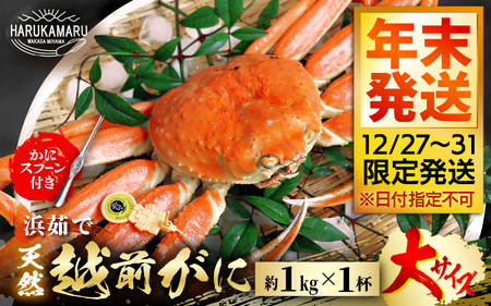 [先行予約]≪浜茹で≫ 地物!天然!越前がに 大サイズ(約1kg)× 1杯[年末発送12/27〜12/31限定発送!]かにスプーン付き はるか丸厳選!獲れたて!茹でたてをお届けします![冷蔵 本場の味 ボイル 越前ガニ 蟹 ずわいがに ズワイガニ 福井 日本海] [m36-x005_99]
