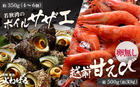 若狭素潜り天然 サザエ (ボイル済) と 越前甘えび卵なし大サイズ[冷凍 ボイル サザエ 甘えび 若狭湾 さざえ] [m17-b009]