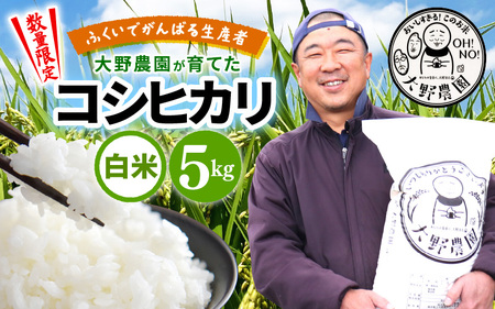 【先行予約】【令和7年産・新米】コシヒカリ 5kg 福井県美浜町 ふくいでがんばる生産者 大野農園が育てた こしひかり 【2025年10月上旬以降順次発送予定】 [m49-a003]