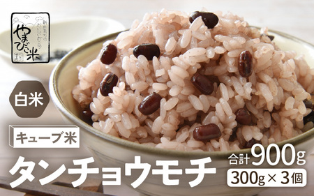 もち米 令和6年産 キューブ米 タンチョウモチ 2合 × 3個 計900g 真空パック 新庄やまびこ米（白米） [m23-a010]