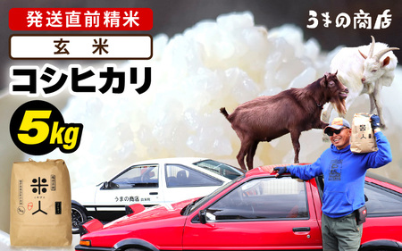 令和7年産 コシヒカリ 5kg[玄米] [m25-a006_03]