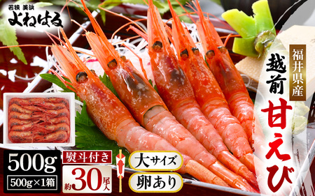 bɂȂ̕ցŷtzVRIzOÃGryTCYEz500g/1 [m17-a063]