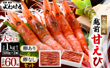天然!越前甘エビ 約1kg[大サイズ 卵あり&卵なし]セット [m17-c016]