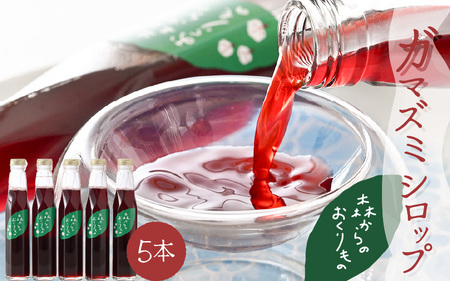 ؂̎̃VbviK}Y~j5{Zbgy ܂ ؂̎ t[c ʏ` Vbv \[X y yHi e N AgVAj |tFm[ ͔|Ԓ _sgp z [m47-a004]