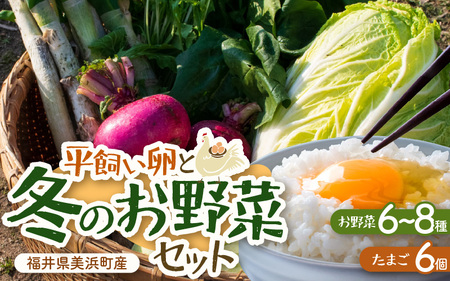 [先行予約]お野菜セット 旬の冬野菜と平飼い卵のお楽しみボックス[2025年12月上旬順次発送予定][野菜 卵 セット 新鮮野菜 新鮮卵 詰め合わせ 農家直送 旬野菜 季節限定 旬の味覚 鍋 平飼い 卵焼き たまご] [m75-a001]