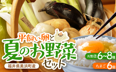 [先行予約]お野菜セット 旬の夏野菜と平飼い卵のお楽しみボックス[2026年7月上旬以降順次発送予定] [m75-a002]