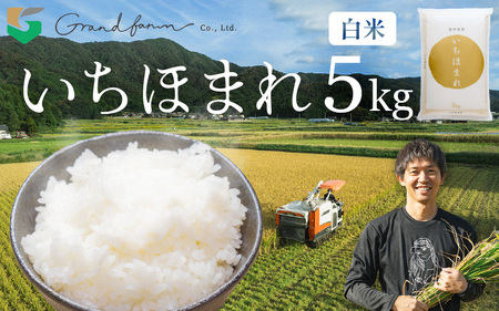 [先行予約]令和7年産 新米 いちほまれ 白米 5kg [2025年11月上旬以降順次発送予定] [m46-a001]