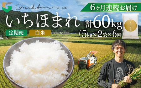 [先行予約]定期便 ≪6ヶ月連続お届け≫ 令和8年産 新米 いちほまれ 白米 10kg (5kg×2袋) [2026年10月上旬以降順次発送予定] 白米 10キロ [m46-n003]