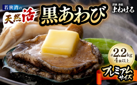 [先行予約][数量限定]入手困難 日本海若狭湾の 天然 活黒アワビ プレミアムサイズ 計2.2kg(4個以上)鮮度抜群![2026年3月より順次発送予定] 刺身 お造り バター焼き BBQ あわび アワビ 鮑 クロアワビ 黒あわび[m17-p003_03]