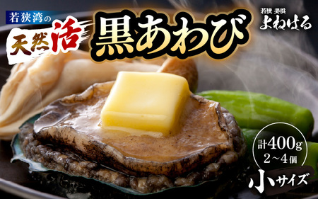 [先行予約]入手困難 日本海若狭湾の 天然 活黒アワビ 計400g (2〜4個) 小サイズ [2025年11月中旬より順次発送予定] 鮮度抜群 刺身 お造り バター焼き BBQ あわび アワビ 鮑 クロアワビ 黒あわび [m17-d005_99]