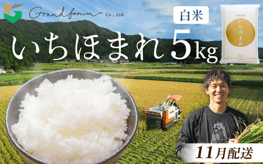 【先行予約】令和8年産 新米 いちほまれ 白米 5kg 【2026年11月以降順次発送】 白米 5キロ [m46-a004_11]