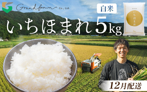 【先行予約】令和8年産 新米 いちほまれ 白米 5kg 【2026年12月以降発送】 白米 5キロ [m46-a004_12]