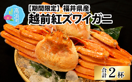【先行予約】【数量・期間限定】福井県産 越前 紅ズワイガニ ×2杯【急速冷凍】（プロトン凍結）【10月中旬以降順次発送】