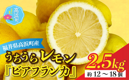[先行予約][福井県高浜町]日本海で育ったうちうらレモン「ビアフランカ2.5kg」皮まで丸ごと食べられます![1月初旬より順次発送]