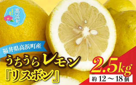 [先行予約]日本海で育ったうちうらレモン「リスボン2.5kg」皮まで丸ごと食べられます!(農薬不使用)[12月下旬より順次発送]