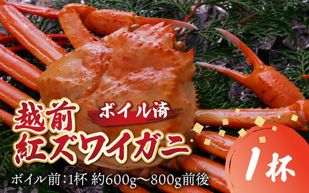 ys\zy12zyʌz䌧Y zOgYCKj × 1t