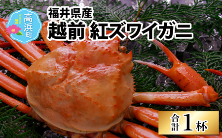 yʌz䌧Y zOgYCKj × 1t