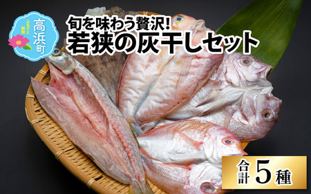 [灰干し加工]鮮度抜群!若狭の灰干し5種セット