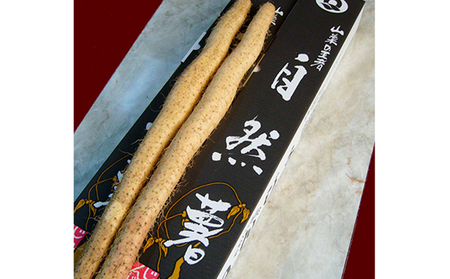 おおい町特産 自然薯 0.7kg〜0.9kg