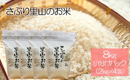 さぶりの里山の お米 コシヒカリ 8kg(小分けパック×4袋セット)
