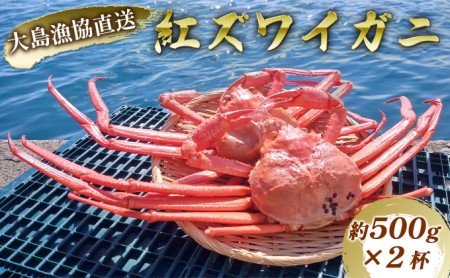 数量限定!福井県の大島漁協直送[ボイル冷凍]ベニズワイガニ(約500g)×2杯