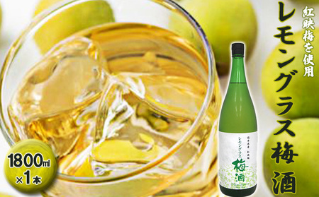 福井県産 紅映梅を使用した レモングラス梅酒(1800ml)1本