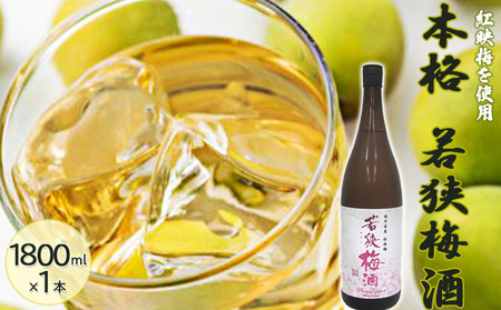 福井県産 紅映梅を使用した本格梅酒 若狭梅酒(1800ml)1本