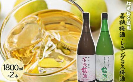 福井県産 紅映梅を使用した 若狭梅酒、レモングラス梅酒(1800ml) 2本セット