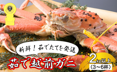 茹で越前ガニ[期間限定]食通もうなる本場の味をぜひ、ご堪能ください。 約2kg以上(3〜6杯)訳あり(脚折れ含む)ずわいがに 魚介類