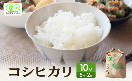  L@JAS F RVqJ  10kg Ђ    R    ͂ 䌧
