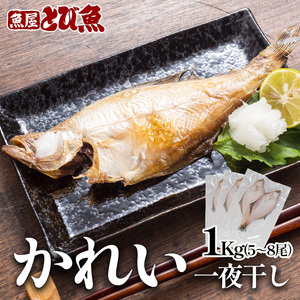 エテカレイ干物 1kg(5〜8尾) 魚 干物 エテカレイ 加工食品 ひらき 魚介 魚介類 魚の開き 焼き魚 焼魚 干物 ひもの おかず 福井県