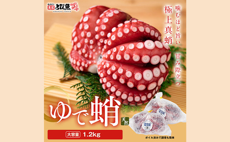 䥂ł܂ 䌧Y 1.2Kg i2`3tj^R {C   CN Y 䌧 ዷ