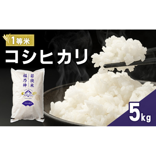 令和7年産 コシヒカリ 5kg(一等米・神谷農園) 米 お米 こしひかり 若狭町